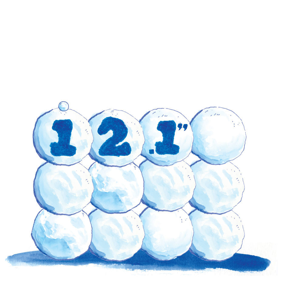 No. 6